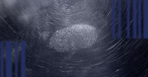 DMS_Blogue_Anti-contrefacon_Banner